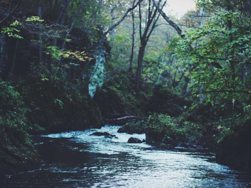 Photography & Content Packages